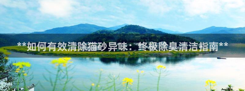 尊龙官网免费下载：**如何有效清除猫砂异味：终极除臭清洁