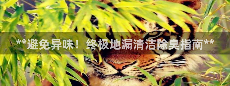 尊龙凯时取款一直支付中