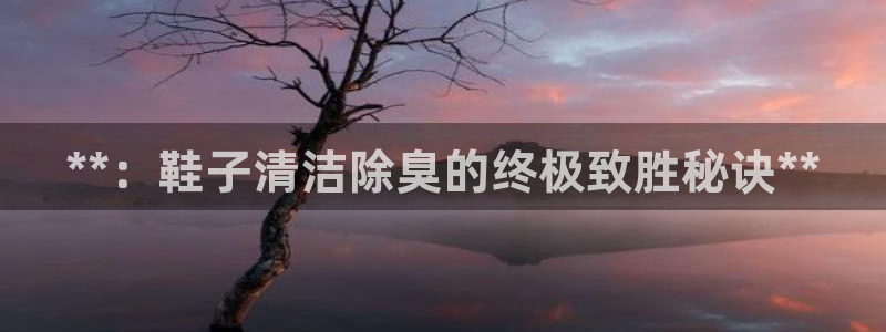 尊龙人生就是博官