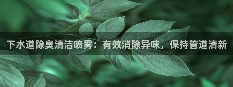 d88尊龙官网登录免费下载：下水道除臭清洁喷雾：有效消除