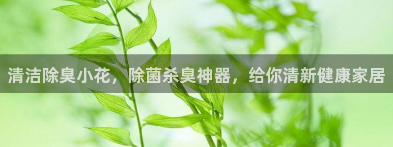 尊龙人生就是博d88 - Z6尊龙官方网站：清洁除臭小花