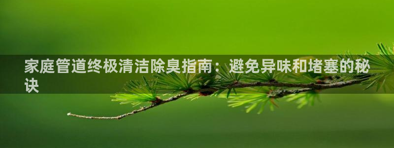 尊龙凯时logo：家庭管道终极清洁除臭指南：避免异味和堵
