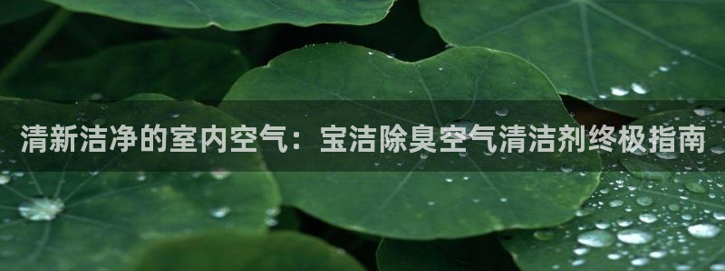 尊龙AG发财网：清新