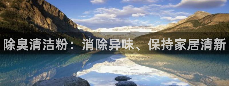 尊龙app怎么样：除臭清洁粉：消除异味、保持家居清新