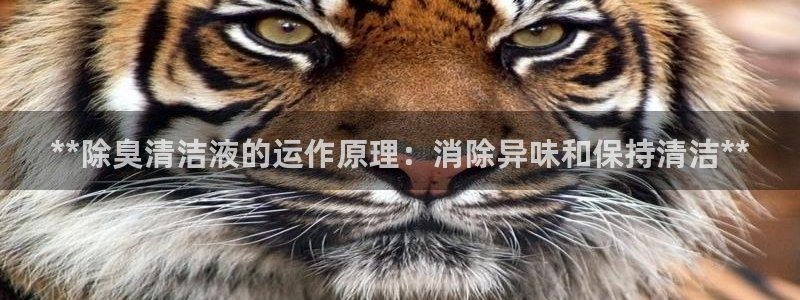 尊龙官网国际