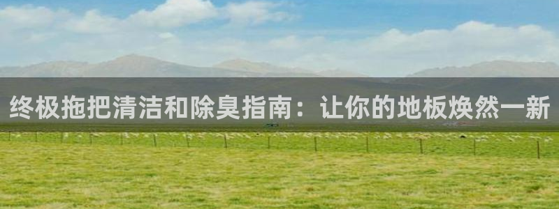 尊龙凯时平台不给出款怎么办：终极拖把清洁和除臭指南：让你