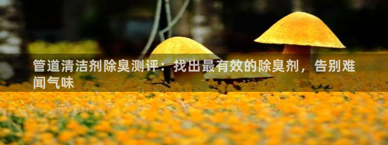 尊龙凯时平台正规吗：管道清洁剂除臭测评：找出最有效的除臭