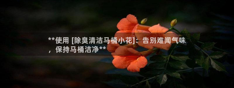 尊龙凯时品牌介绍