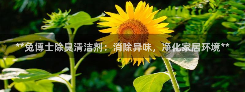 尊龙版末代皇帝：**兔博士除臭清洁剂：消除异味，净化家居