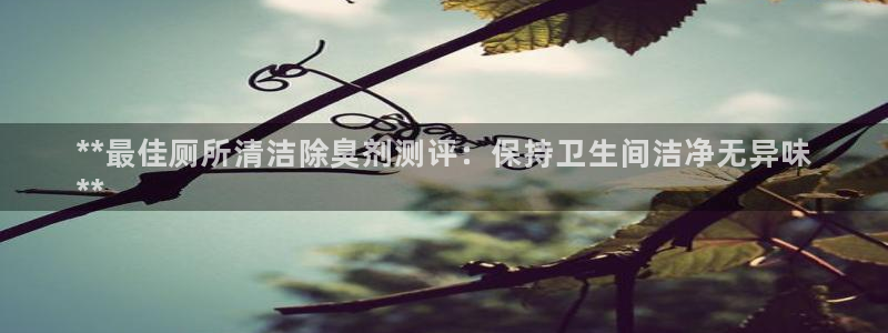 尊龙新版登录网址下载：**最佳厕所清洁除臭剂测评：保持卫