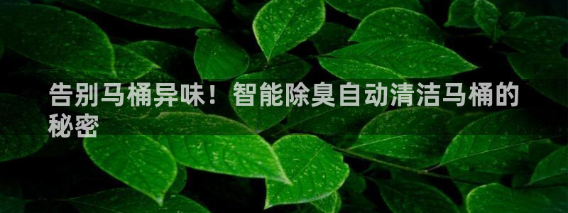 尊龙人生就是博用现金玩一下
