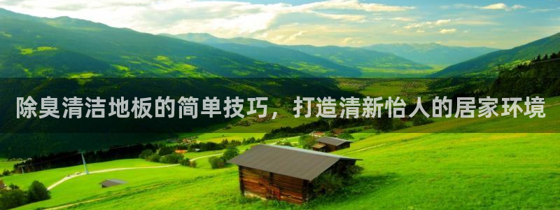 尊龙凯时vip：除臭清洁地板的简单技巧，打造清新怡人的居