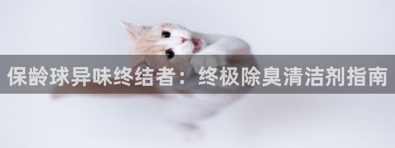 尊龙官网网页版