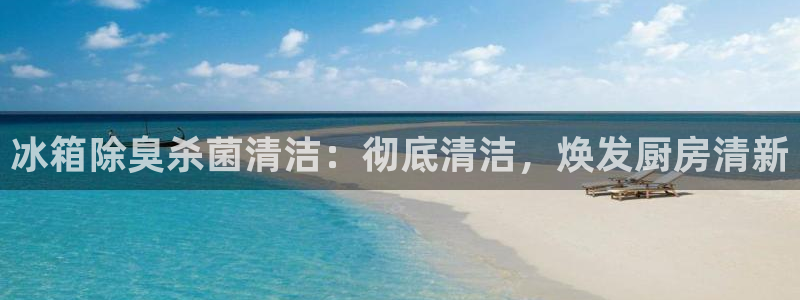 尊龙z6平台：冰箱除臭杀菌清洁：彻底清洁，焕发厨房清新