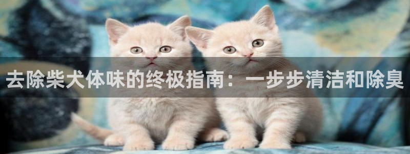 z6尊龙凯时集团