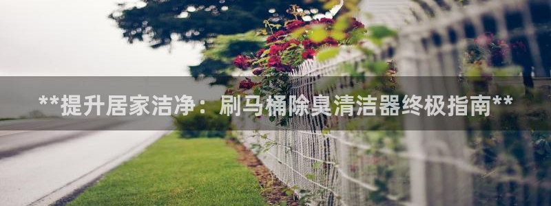 尊龙登录会员登录：**提升居家洁净：刷马桶除臭清洁器终极
