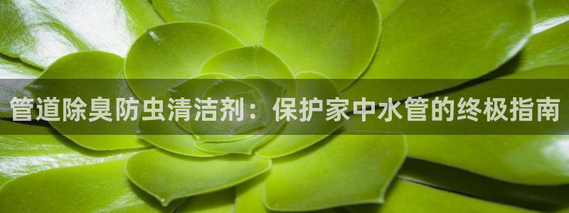 尊龙凯时网娱乐最新版下载：管道除臭防虫清洁剂：保护家中水