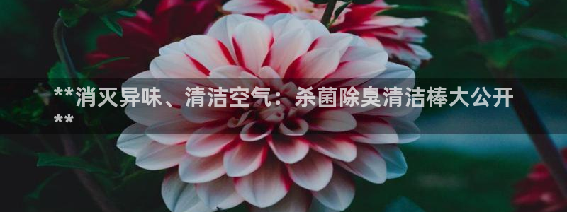 凯时国际官方版