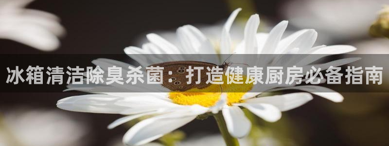 尊龙体育直接访问agbaofu.wang|ag暴富网：冰