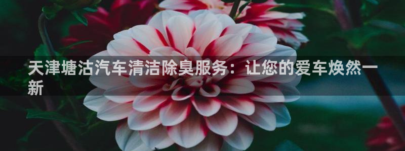 尊龙凯时平台还是万搏好