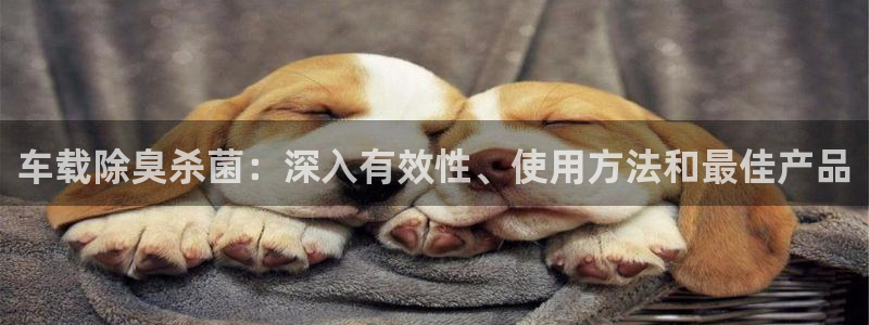 尊龙人品怎么样