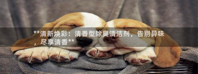 尊龙400：**清新