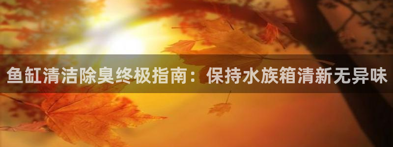 尊龙人生就是博首页：鱼缸清洁除臭终极指南：保持水族箱清新