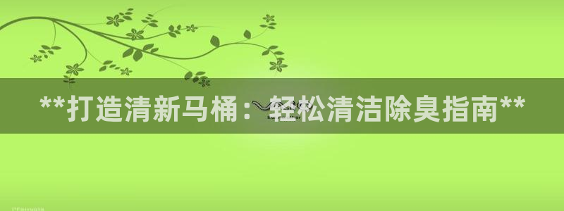 尊龙凯时能不能提现?：**打造清新马桶：轻松清洁除臭指南