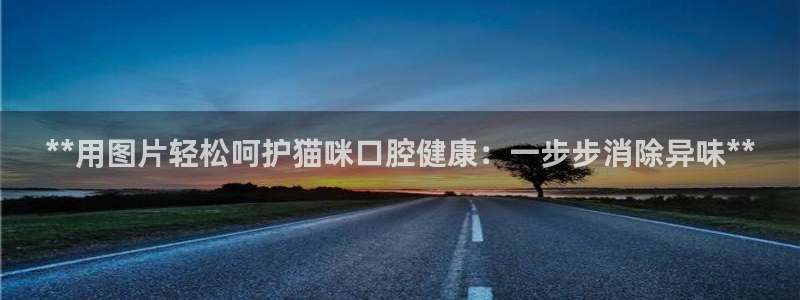 尊龙凯时干什么的：**用图片轻松呵护猫咪口腔健康：一步步