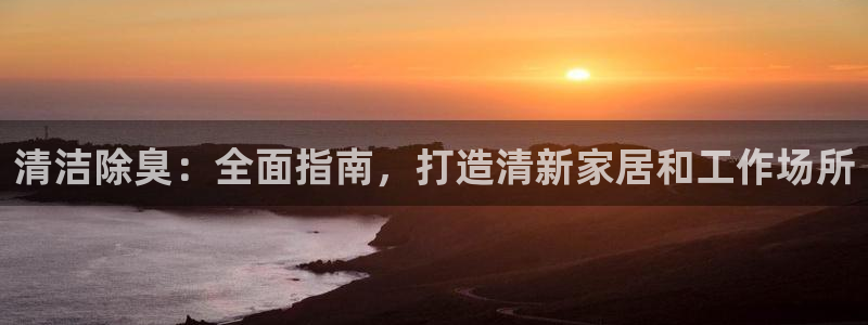凯时网上官方网站：清洁除臭：全面指南，打造清新家居和工作