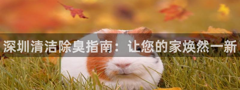尊龙凯时出款