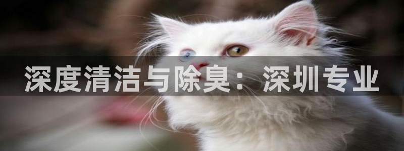 尊龙,人生就是搏