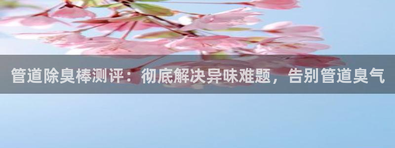 尊龙最近一次露面：管道除臭棒测评：彻底解决异味难题，告别