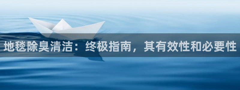 尊龙凯时ag旗舰厅登陆：地毯除臭清洁：终极指南，其有效性