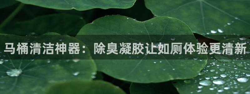 z6尊龙凯时集团：马桶清洁神器：除臭凝胶让如厕体验更清新