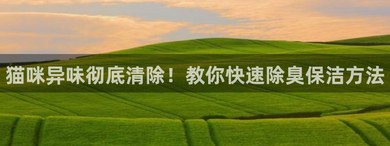 尊龙凯时邀请码：猫咪异味彻底清除！教你快速除臭保洁方法
