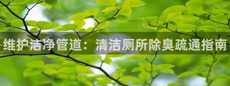 尊龙 下载：维护洁净管道：清洁厕所除臭疏通指南