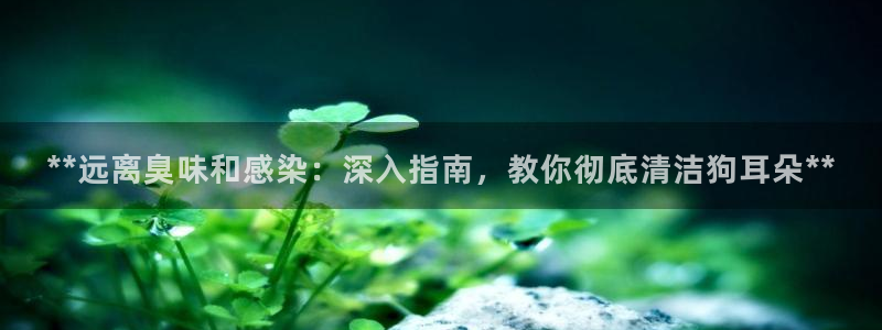 凯时国际app首页登录入口：**远离臭味和感染：深入指南
