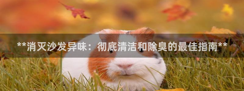 尊龙新版App下载：**消灭沙发异味：彻底清洁和除臭的最