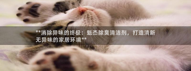 尊龙凯时代理：**消除异味的终极：魁杰除臭清洁剂，打造清