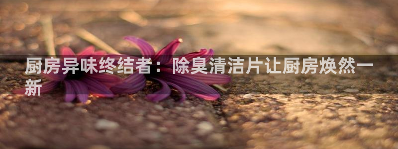 ZL尊龙凯时平台：厨房异味终结者：除臭清洁片让厨房焕然一