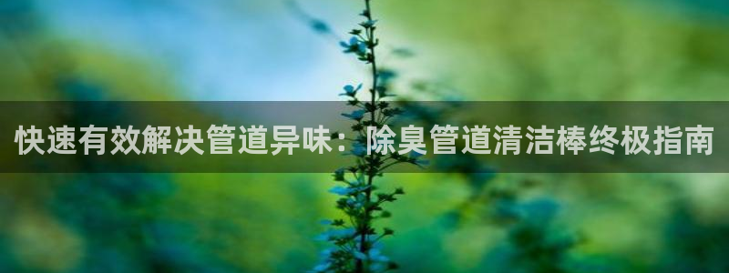 凯时kb88公司简介：快速有效解决管道异味：除臭管道清洁