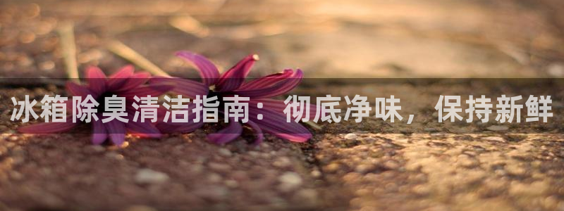 下载尊龙app：冰箱除臭清洁指南：彻底净味，保持新鲜