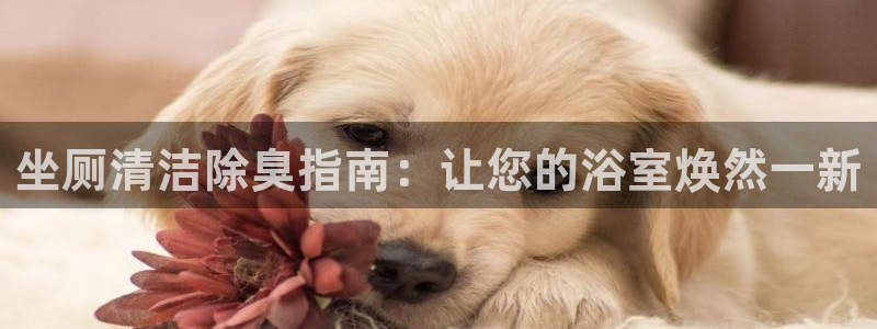 尊龙凯时论坛
