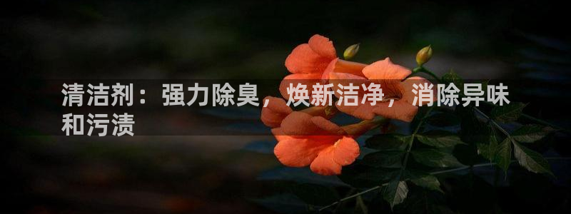 尊龙集团有限公司：清洁剂：强力除臭，焕新洁净，消除异味
