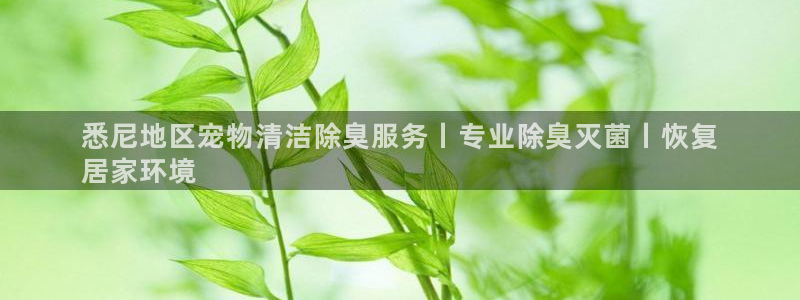 ag尊龙凯时集团：悉尼地区宠物清洁除臭服务丨专业除臭灭菌