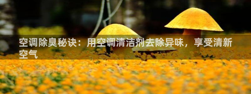 尊龙凯时国际