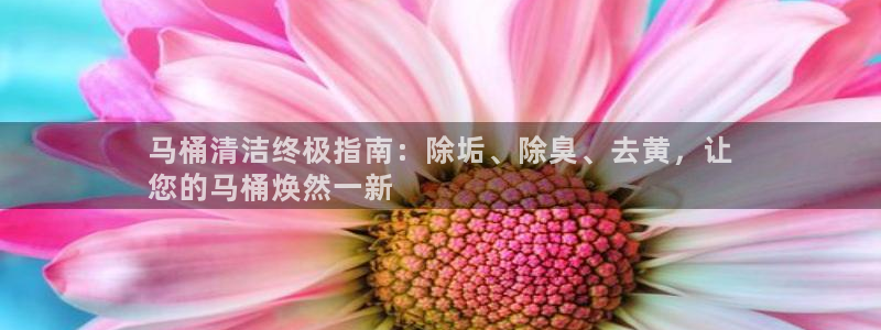 尊龙手机官方客户端下载安卓：马桶清洁终极指南：除垢、除臭