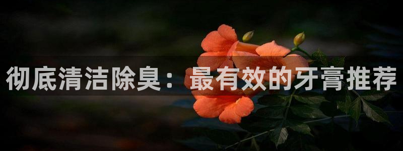 尊龙凯时贴吧：彻底清