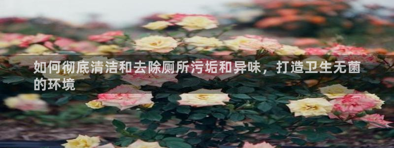 尊龙凯时平台官网：如何彻底清洁和去除厕所污垢和异味，打造卫生